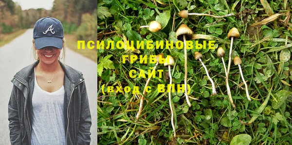 прущие крисы Няндома