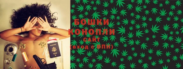прущие крисы Няндома