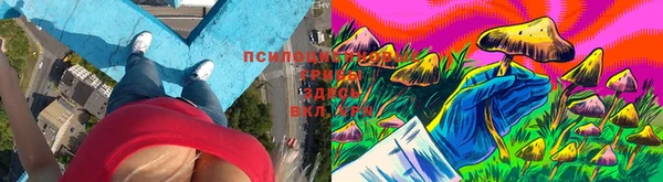 прущие крисы Няндома