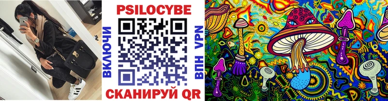 Галлюциногенные грибы Magic Shrooms  Купить где  Белозерск 
